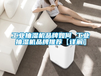 企業(yè)新聞工業(yè)抽濕機品牌如何 工業(yè)抽濕機品牌推薦【詳解】