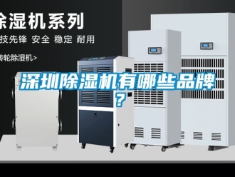 企業(yè)新聞深圳除濕機有哪些品牌？