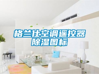 行業(yè)新聞格蘭仕空調(diào)遙控器除濕圖標(biāo)