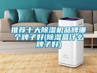 企業(yè)新聞推薦十大除濕機(jī)品牌哪個(gè)牌子好(除濕盒什么牌子好)