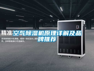 企業(yè)新聞空氣除濕機(jī)原理詳解及品牌推薦