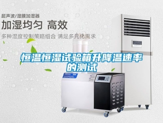 知識(shí)百科恒溫恒濕試驗(yàn)箱升降溫速率的測(cè)試