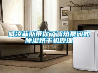 行業(yè)新聞威凌菲斯帶你了解熱泵閉式除濕烘干機(jī)原理