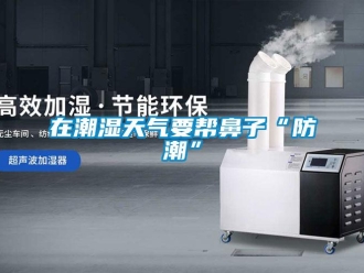 知識百科在潮濕天氣要幫鼻子“防潮”