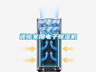 行業(yè)新聞迷你家用電子除濕機