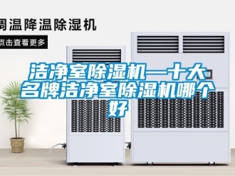 行業(yè)新聞潔凈室除濕機(jī)—十大名牌潔凈室除濕機(jī)哪個好