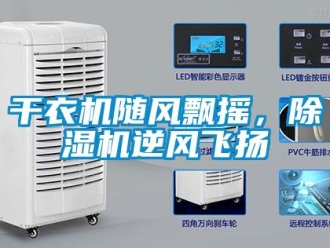 企業(yè)新聞干衣機(jī)隨風(fēng)飄搖，除濕機(jī)逆風(fēng)飛揚(yáng)