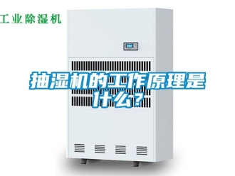 企業(yè)新聞抽濕機(jī)的工作原理是什么？
