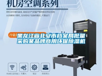 行業(yè)新聞黑龍江省北安市檔案局批量采購(gòu)某品牌商用環(huán)保除濕機(jī)