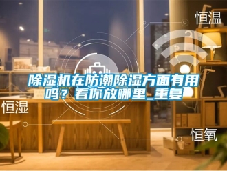 行業(yè)新聞除濕機(jī)在防潮除濕方面有用嗎？看你放哪里_重復(fù)