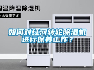 常見問題如何對紅河轉(zhuǎn)輪除濕機(jī)進(jìn)行保養(yǎng)工作？
