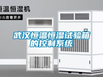 知識(shí)百科武漢恒溫恒濕試驗(yàn)箱的控制系統(tǒng)