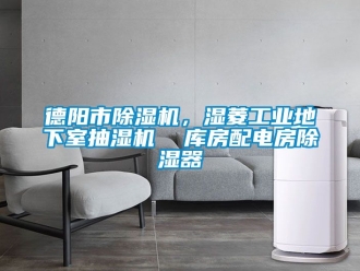 常見問題德陽市除濕機，濕菱工業(yè)地下室抽濕機  庫房配電房除濕器
