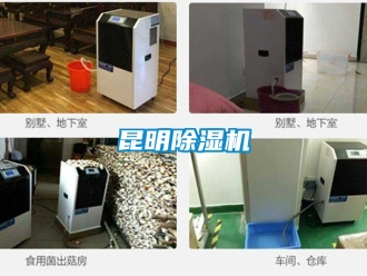 行業(yè)新聞昆明除濕機