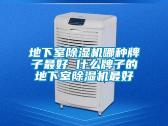 行業(yè)新聞地下室除濕機哪種牌子最好 什么牌子的地下室除濕機最好
