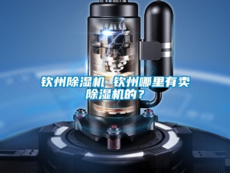 行業(yè)新聞欽州除濕機(jī) 欽州哪里有賣(mài)除濕機(jī)的？