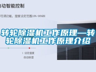 常見問題轉輪除濕機工作原理—轉輪除濕機工作原理介紹