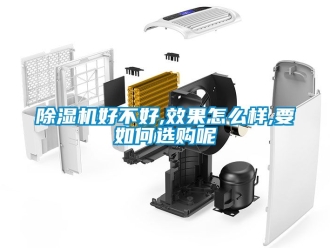 行業(yè)新聞除濕機(jī)好不好,效果怎么樣,要如何選購(gòu)呢