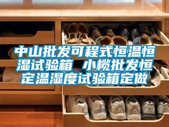 知識百科中山批發(fā)可程式恒溫恒濕試驗箱 小欖批發(fā)恒定溫濕度試驗箱定做