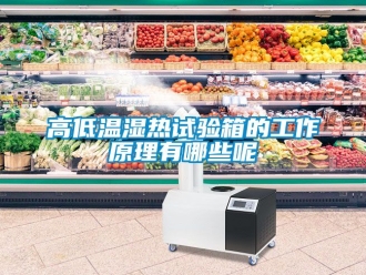常見問題高低溫濕熱試驗(yàn)箱的工作原理有哪些呢