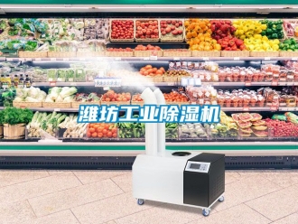 常見問題濰坊工業(yè)除濕機
