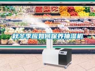常見問題秋冬季應(yīng)如何保養(yǎng)抽濕機(jī)