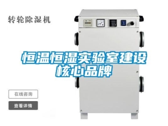 知識百科恒溫恒濕實驗室建設(shè)核心品牌
