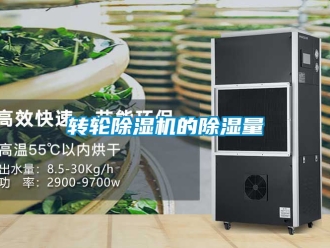 常見(jiàn)問(wèn)題轉(zhuǎn)輪除濕機(jī)的除濕量