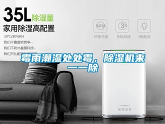 行業(yè)新聞霉雨潮濕處處霉，除濕機(jī)來一一除