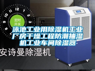 常見問題泳池工業(yè)用除濕機(jī)工業(yè)廠房干燥工程防潮抽濕機(jī)工業(yè)車間除濕器