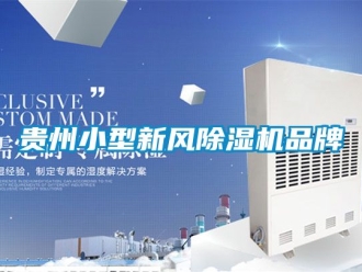 常見問題貴州小型新風(fēng)除濕機(jī)品牌