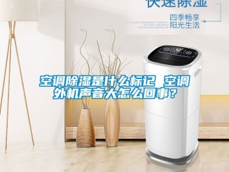 行業(yè)新聞空調(diào)除濕是什么標(biāo)記 空調(diào)外機(jī)聲音大怎么回事？