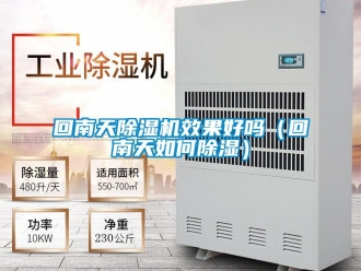 行業(yè)新聞回南天除濕機效果好嗎（回南天如何除濕）