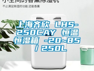 知識(shí)百科上海齊欣 LHS-250CAY 恒溫恒濕箱 -20~85℃／250L