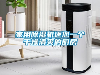 行業(yè)新聞家用除濕機(jī)還您一個(gè)干燥清爽的廚房