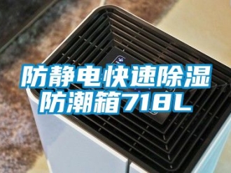常見(jiàn)問(wèn)題防靜電快速除濕防潮箱718L