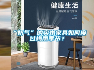 常見問題“嬌氣”的實木家具如何度過梅雨季節(jié)？