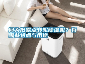 行業(yè)新聞何為低露點(diǎn)轉(zhuǎn)輪除濕機(jī)？有哪些特點(diǎn)與用途
