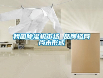 知識(shí)百科我國(guó)除濕機(jī)市場(chǎng) 品牌格局尚未形成