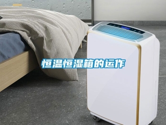 知識(shí)百科恒溫恒濕箱的運(yùn)作