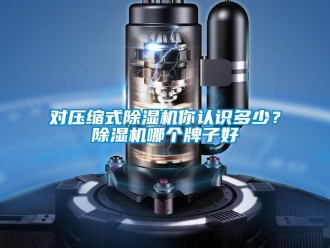 行業(yè)新聞對壓縮式除濕機(jī)你認(rèn)識多少？除濕機(jī)哪個(gè)牌子好