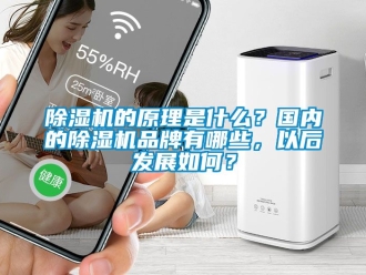 企業(yè)新聞除濕機(jī)的原理是什么？國(guó)內(nèi)的除濕機(jī)品牌有哪些，以后發(fā)展如何？