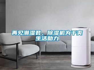 知識百科再見潮濕君，除濕機為干爽生活助力