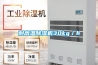 耐高溫除濕機(jī)30kg／h