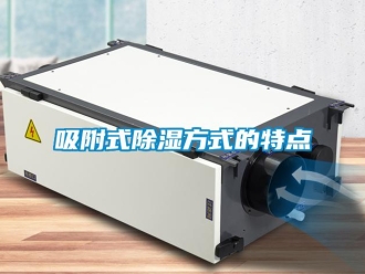 知識(shí)百科吸附式除濕方式的特點(diǎn)