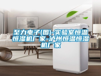 知識(shí)百科至力電子(圖)-實(shí)驗(yàn)室恒溫恒濕機(jī)廠家-瀘州恒溫恒濕機(jī)廠家