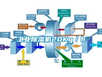 企業(yè)新聞工業(yè)除濕機20Kg／h