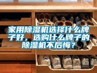 常見問題家用除濕機選擇什么牌子好，選購什么牌子的除濕機不后悔？