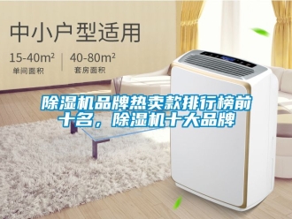 企業(yè)新聞除濕機品牌熱賣款排行榜前十名，除濕機十大品牌