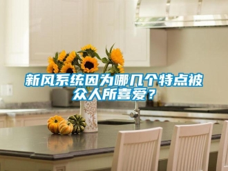 知識(shí)百科新風(fēng)系統(tǒng)因?yàn)槟膸讉€(gè)特點(diǎn)被眾人所喜愛？